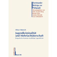 Jugendkriminalität und Mehrfachtäterschaft